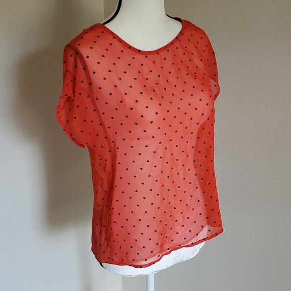 Sheer Blouse - Picture 3 of 4